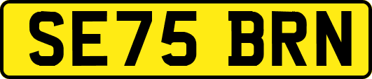 SE75BRN
