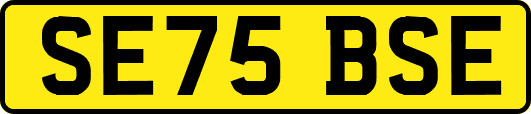 SE75BSE