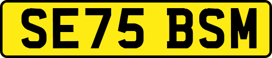 SE75BSM