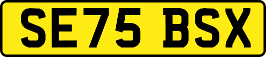 SE75BSX