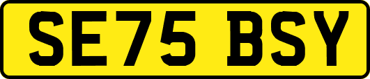 SE75BSY