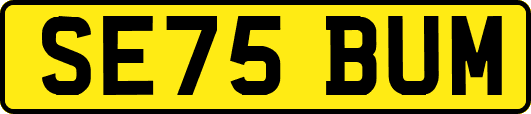 SE75BUM