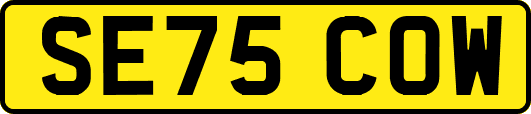SE75COW
