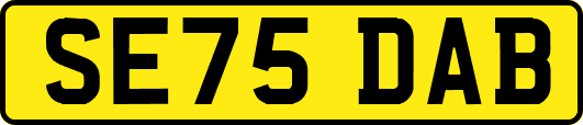 SE75DAB