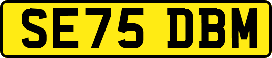 SE75DBM