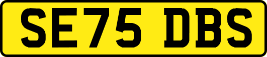 SE75DBS