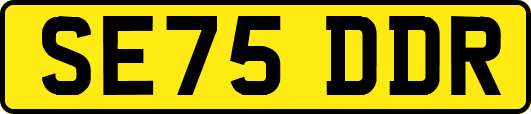 SE75DDR