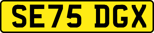 SE75DGX