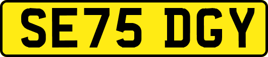 SE75DGY