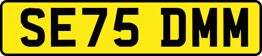 SE75DMM
