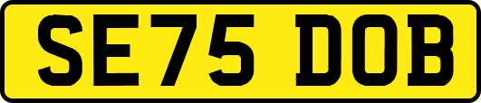SE75DOB