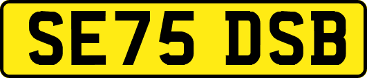 SE75DSB