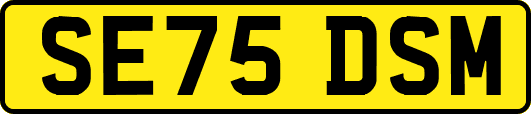 SE75DSM