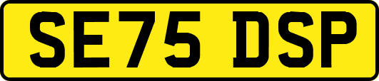 SE75DSP