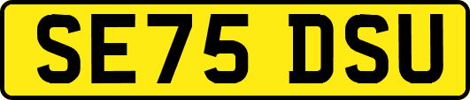 SE75DSU