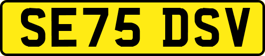 SE75DSV