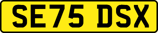 SE75DSX
