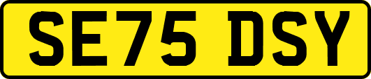 SE75DSY
