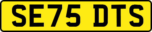 SE75DTS