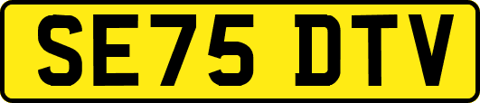 SE75DTV