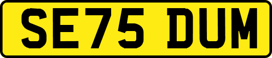 SE75DUM