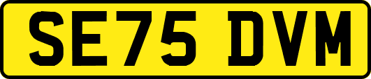 SE75DVM