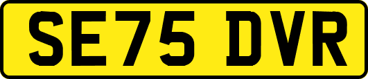 SE75DVR