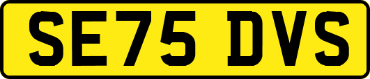 SE75DVS