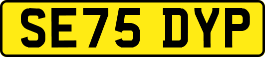 SE75DYP