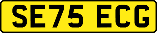 SE75ECG