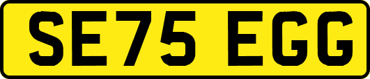 SE75EGG