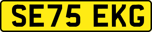 SE75EKG