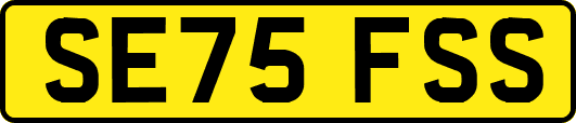 SE75FSS