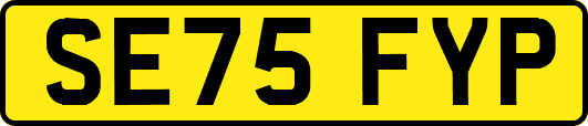 SE75FYP