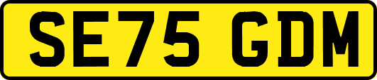 SE75GDM