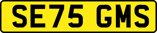 SE75GMS