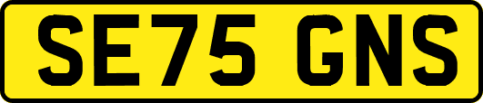 SE75GNS