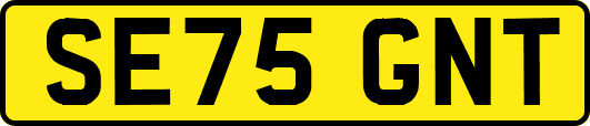 SE75GNT