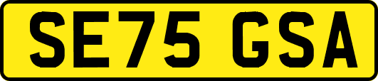 SE75GSA