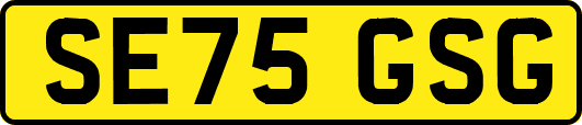 SE75GSG