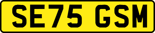 SE75GSM