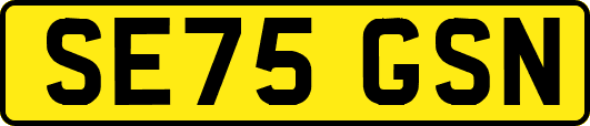 SE75GSN