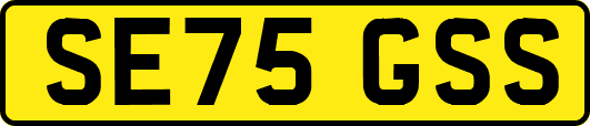 SE75GSS