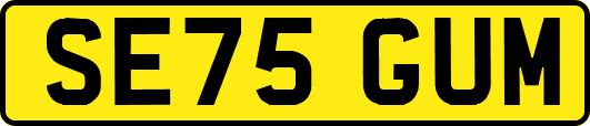 SE75GUM