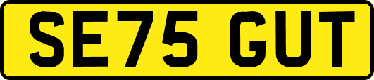 SE75GUT