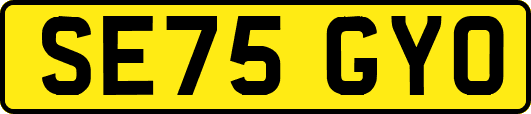 SE75GYO