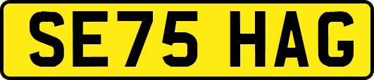 SE75HAG
