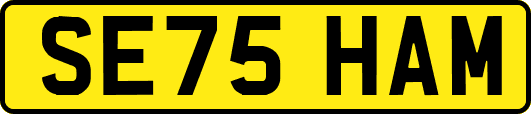 SE75HAM