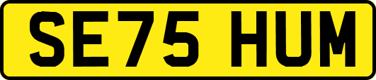 SE75HUM