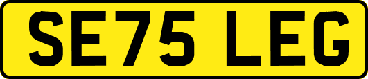 SE75LEG